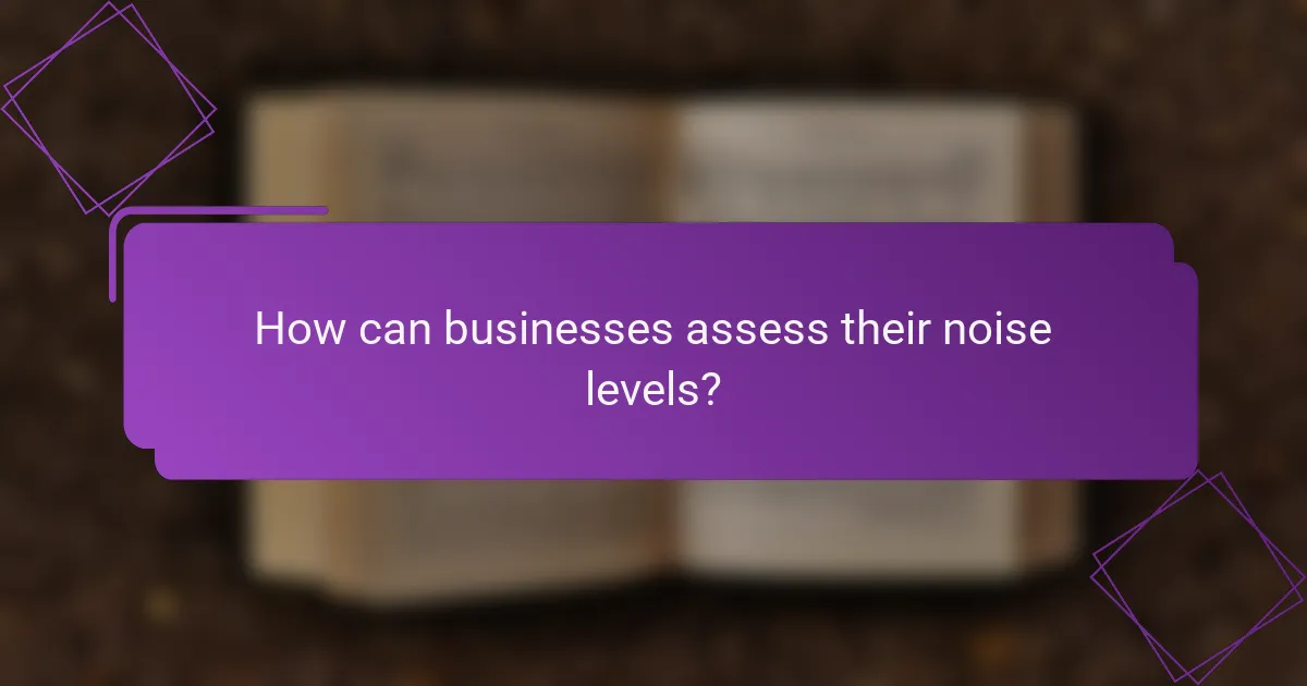 How can businesses assess their noise levels?