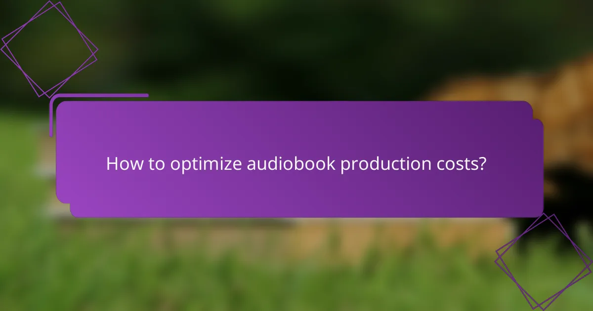 How to optimize audiobook production costs?